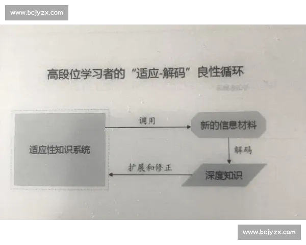 禁赛风波背后的规则博弈与体育公平精神的深度反思与启示及未来走向